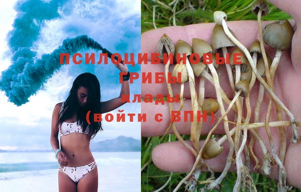 дурь Инсар