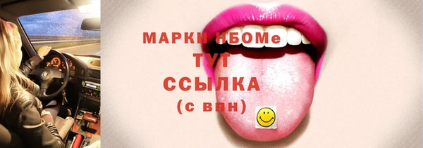 дурь Инсар