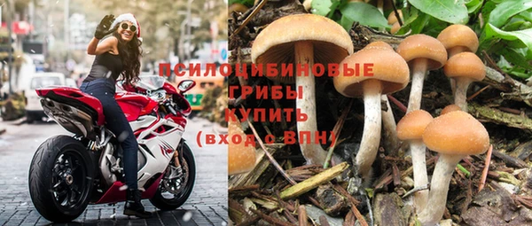 кокс Инта