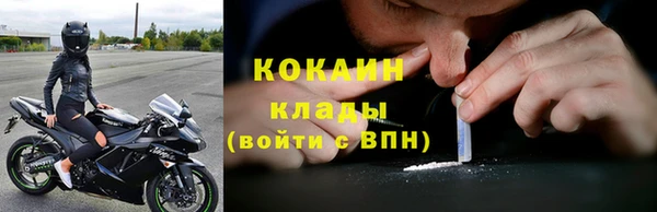 дурь Инсар