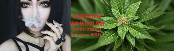 молекула духа Иннополис