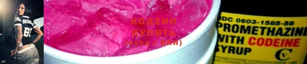 дурь Инсар