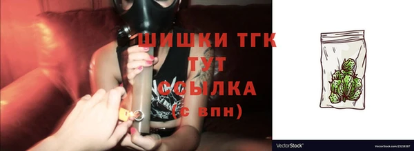 дурь Инсар