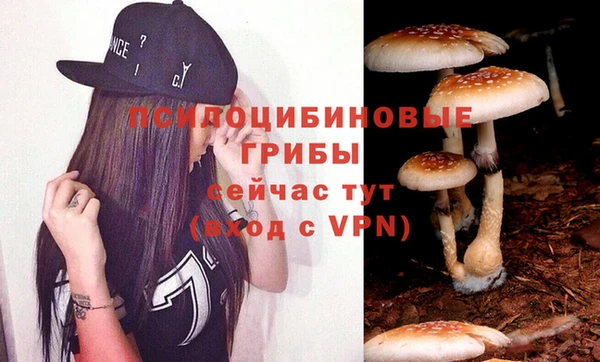 кокс Инта
