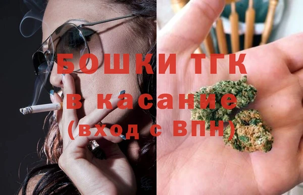дурь Инсар