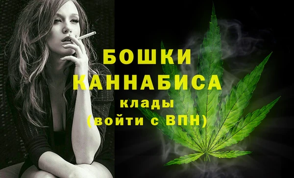 молекула духа Иннополис