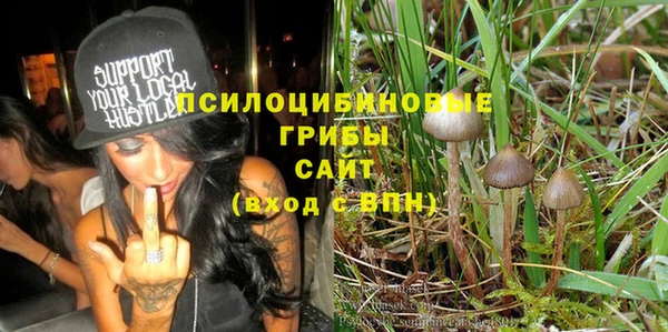 кокс Инта