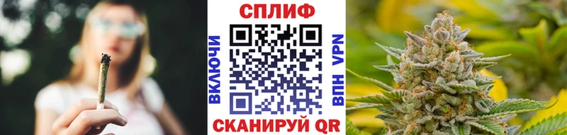 Купить где  Нижнеудинск  Каннабис SATIVA & INDICA 